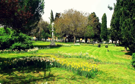 Fenerbahçe Parkı'nda Sanatla Dolu Bir Gün