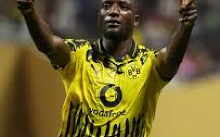 Transferde büyük hedef Serhou Guirassy! Fenerbahçe tüm kozlarını oynuyor